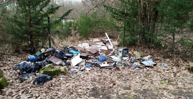 photo  une malheureuse confusion entre déchetterie et espace naturel : à allonnes (sarthe), une sentinelle a signalé ce dépôt sauvage de déchets.  &copy;  fne 