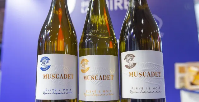 photo  des muscadets figurent désormais sur la liste des produits de la marque locale juste, visant à mieux rémunérer les agriculteurs en partant de leurs coûts de production.  &copy;  mathieu pattier / ouest france 
