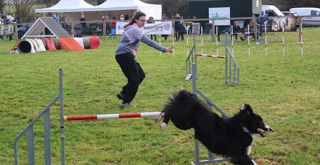 photo  guidé par la voix de son conducteur, l’animal doit passer l’ensemble des obstacles avec succès.  &copy;  ouest-france 