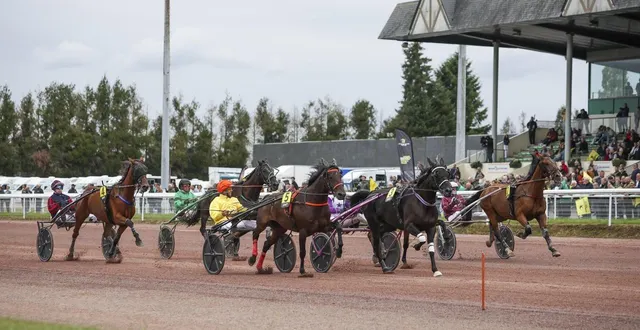 photo  grand national du trot 2025, à l’hippodrome de lisieux (calvados).  &copy;  charles bury / archives ouest-france 