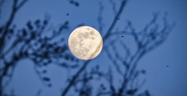photo  image d’illustration de la lune, photographiée fin janvier 2026.  &copy;  dominique breugnot photographer 