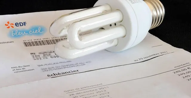 photo  photo prise le 6 janvier 2012 à godewaersvelde d’une ampoule basse consommation posée sur une facture d’edf.  &copy;  afp 