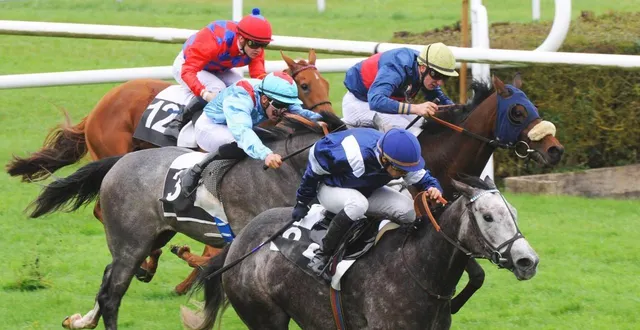 photo  ce sera une rentrée au galop pour l’hippodrome des hunaudières, mercredi 4 mars 2026 à partir de 11 h 55.  &copy;  fotolia 