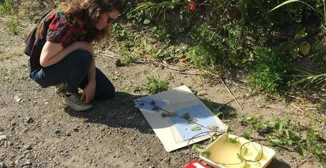 photo  la photographe anaïs tondeur travaille autour des plantes, en se servant d’elles comme sujet, mais aussi comme outil pour développer ses photos. elle expose dans le cadre des photographiques, au mans.  &copy;  anaïs tondeur 