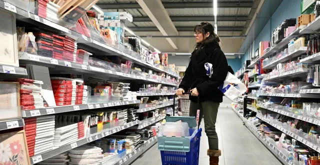 photo  pour l’enseigne action, la france « est le premier pays en termes de chiffre d’affaires et de nombre de magasins », indiquait récemment à ouest-france wouter de backer, directeur général france. ici dans le magasin de mordelles (ille-et-vilaine), près de rennes.  &copy;  thomas brégardis, archives ouest-france 