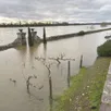 photo les inondations n’ont pas épargné sainte-gemmes-sur-loire. ici le jardin méditerranéen, envahi par les eaux.