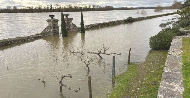 photo  les inondations n’ont pas épargné sainte-gemmes-sur-loire. ici le jardin méditerranéen, envahi par les eaux.  &copy;  ouest-france 