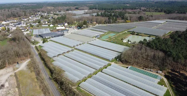 photo  les serres d'anjou fruits rouges s'étendent sur des dizaines d'hectares entre la breille-les-pins et brain-sur-allonnes.  &copy;  co 