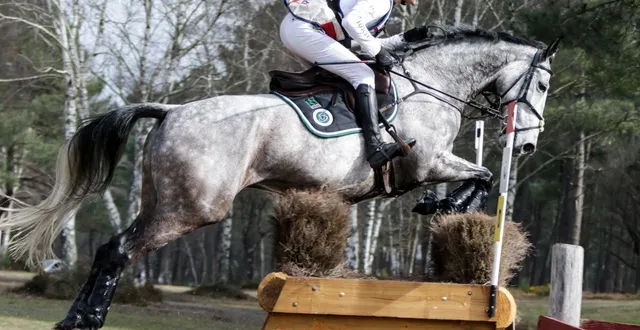 photo  diabolo menthe et nicolas touzaint sont de retour au grand national de saumur. ici, en 2022, le couple vice champion olympique à paris y faisait sa première apparition.  &copy;  guillaume grégoire 