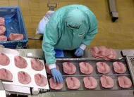 photo  fleury michon est l'un des plus gros employeurs agroalimentaires de vendée. 