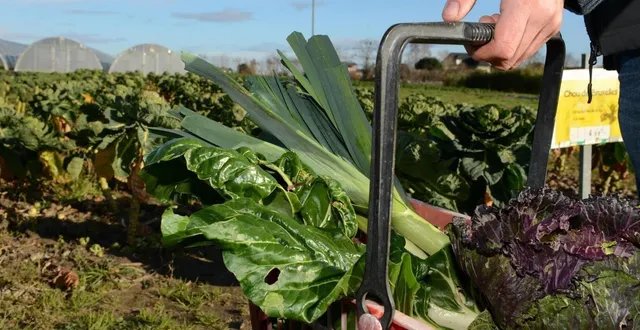 photo  ces vols par effraction ont eu lieu au préjudice de maraîchers ou d’agriculteurs.  &copy;  archives courrier de l’ouest - laurent combet 