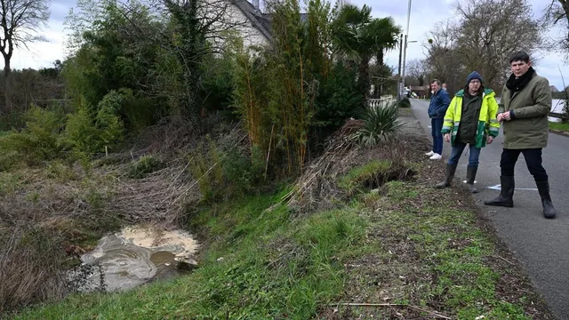 photo info  jean-paul pavillon, maire des ponts-de-cé, ici en inspection sur la partie fragilisée de la levée de saint-jean-de-la-croix. 