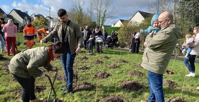photo  la maman de juliette, 8 mois et demi, est contente que les agents lui aient prêté un plantoir de vigne pour planter l’arbre de sa fille.  &copy;  ouest-france 