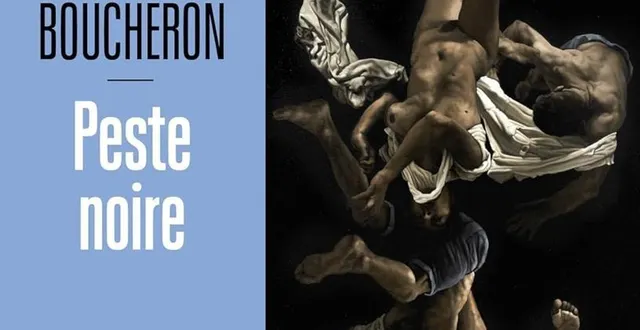 photo  patrick boucheron : peste noire, seuil, 549 p. 27 €.  &copy;  seuil 