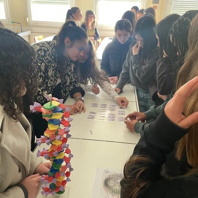photo ici, des lycéennes ont proposé aux collégiennes de reconstituer un caryotype humain à partir des chromosomes, pour expliquer notamment ce qu’est la trisomie 21.  ©  ouest-france