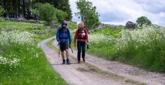 photo  alexandra lamy et julien le berre partagent l’affiche du film « compostelle ».  &copy;  marie-camille orlando 
