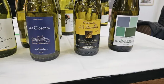 photo  les trois muscadets lauréats de la pipette d’or 2026.  &copy;  ouest-france 