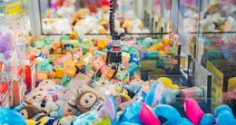 Info insolite  c’est la deuxième fois en l’espace de quelques semaines qu’un jeune garçon américain réussissait à s’introduire dans une machine à pinces. 