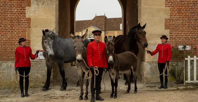 photo  julian bergeon, agent du haras du pin, avec des ânes du centre de valorisation des équidés normands.  &copy;  haras national du pin 