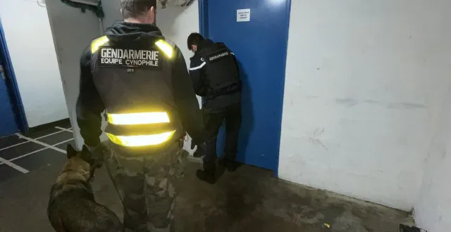 photo  les gendarmes ont visité toutes les parties communes du quartier saint-exupéry de sablé-sur-sarthe en janvier. bilan : rien à signaler lors de cette opération.  &copy;  le maine libre 