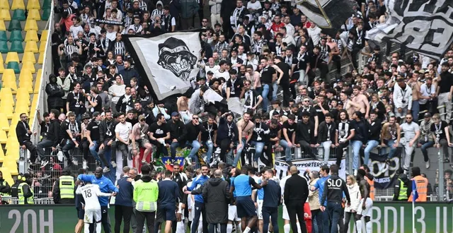 photo  la joie des angevins devant leur parcage, l’an dernier à la beaujoire.  &copy;  jerome fouquet / ouest france 