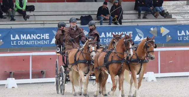 photo  saint-lô agglo apporte une aide financière à la filière équine, notamment par l’attribution d’une subvention.  &copy;  archives ouest-france 