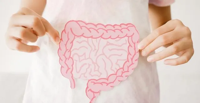 photo  l’étude du microbiote de l’intestin pourrait ouvrir de nouvelles perspectives pour ralentir la progression de la sclérose en plaques.  &copy;  photo : sewcreamstudio / istockphoto 