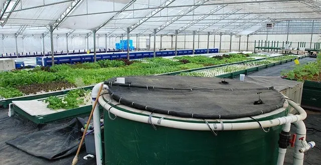 photo  le projet de ferme aquaponique ne verra finalement pas le jour à pruillé-le-chétif, faute de financements.  &copy;  collection privée 