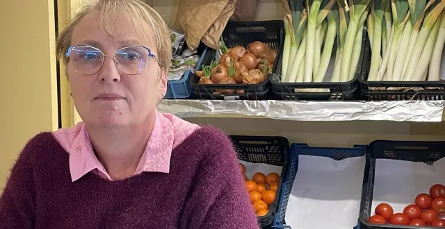 photo  soizic viaud tient un bar, restaurant, épicerie à sœurdres depuis 29 ans. elle est ouverte sept jours sur sept mais devrait partir à la retraite dans un an.  &copy;  ouest-france 