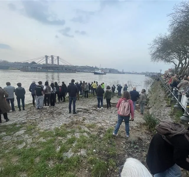 photo les curieux assistent au spectacle sur les quais de trentemoult, à rezé.  ©  ouest-france