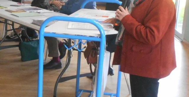 photo  la nouvelle présidente du club de luceau, dominique ribouilleault.  &copy;  ouest-france 