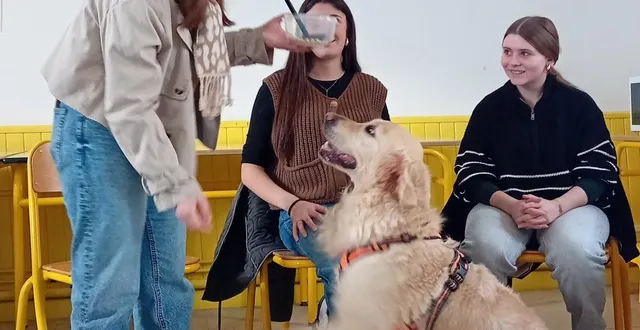 photo  l'atelier de médiation animale a particulièrement séduit les élèves de la maison familiale rurale.  &copy;  document remis 
