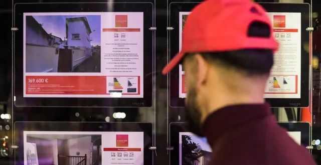 photo  l’agence immobilière qui publie l’annonce de location de ce studio 