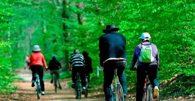 photo  à la flèche (sarthe), les touristes viennent notamment faire du vélo sur la piste verte.  &copy;  archives ouest-france / philippe renault 