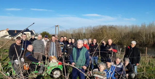 photo  une brigade de 25 volontaires réunis pour tailler la vigne associative florentaise de la pierre-à-fourneau.  &copy;  ouest-france 