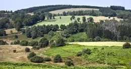 Info insolite  la commune de féniers, sur le plateau des millevaches. 