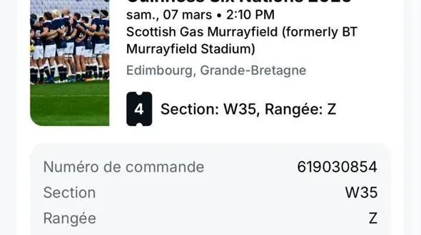 photo  un billet acheté via viagogo pour écosse-france.  &copy;  dr 