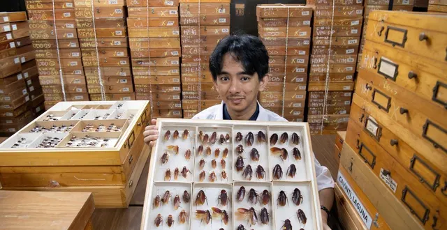 photo  sur cette photo prise le 11 février 2026, cristian lucanas, entomologiste, montre des spécimens préservés de cafards parmi les trésors conservés dans un laboratoire de l’université des philippines à los banos, au sud de manille.  &copy;  photo : ted aljibe / afp 