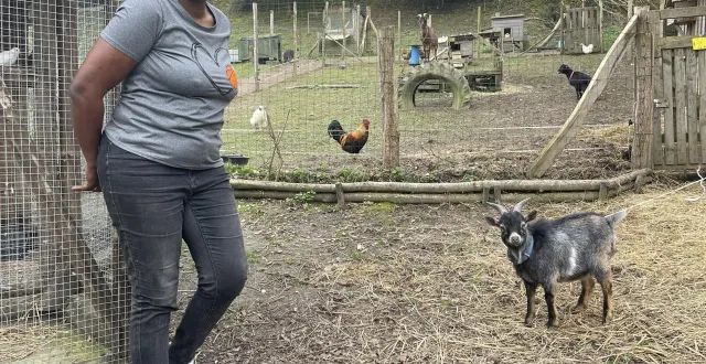 photo  sandra dijon est entourée d’une cinquantaine d’animaux chez elle, à menil-hubert-sur-orne (orne). ici avec arrow, sa petite chèvre.  &copy;  ouest-france 