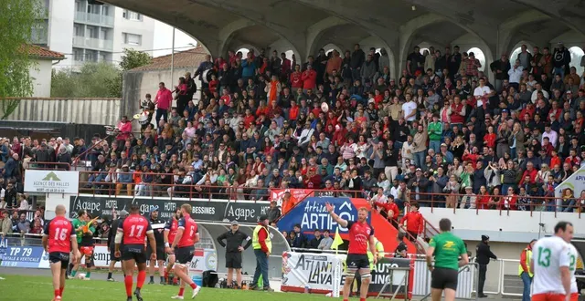 photo  le stade espinassou, antre du niort rugby club.  &copy;  illustration co - marie delage 