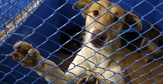 photo  un couple qui habitait à flers. photo d’illustration.  &copy;  archives reuters 