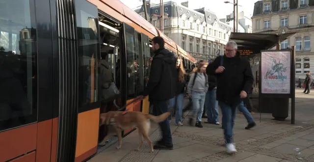 photo  arrêt du tramway sur la place de la république au mans (sarthe), le 28 janvier 2026.  &copy;  ouest-france 
