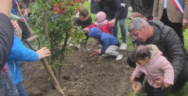 photo  enfants et parents finissent de planter l’arbousier, symbole des 50 enfants nés en 2024.  &copy;  ouest-france 