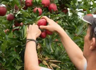 photo  le groupe français innatis fait travailler environ 80 salariés en maine-et-loire. 