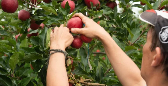 photo  le groupe français innatis fait travailler environ 80 salariés en maine-et-loire.  &copy;  archives ouest-france 
