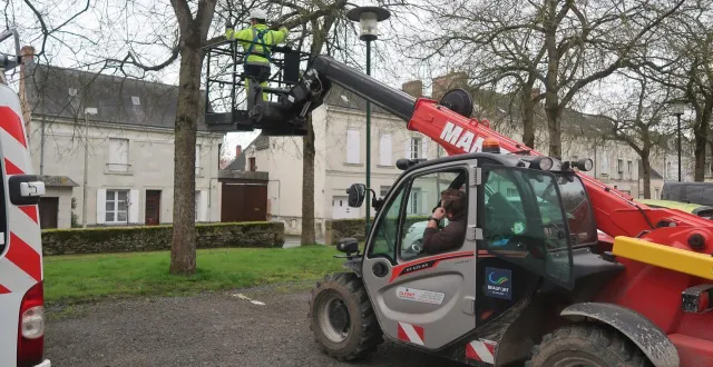 photo  neuf pièges sont en cours d’installation dans la commune de beaufort-en-anjou.  &copy;  ville de beaufort-en-anjou 