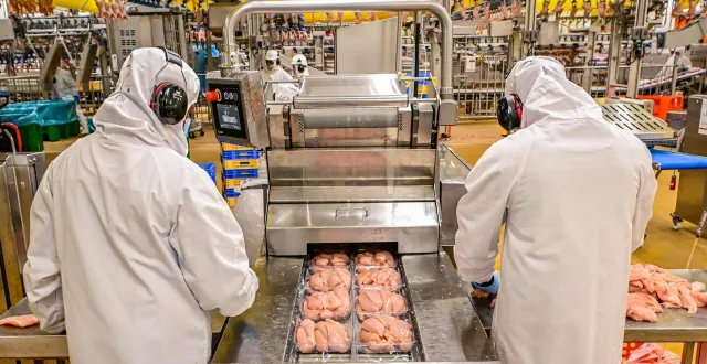 photo  loué, janvier 2025. ldc s’agrandit encore et projette de construire un nouvel abattoir.  &copy;  photo archives le maine libre - yvon loué 