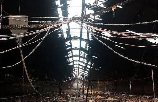 photo  selon espèces sans issue, près de 177 000 animaux sont morts en france en 2025 dans l’incendie de bâtiments d’élevage agricole.  &copy;  archives ml 