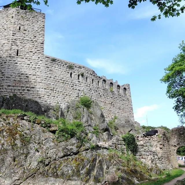 photo le château du bernstein, daté du xiie siècle, est perché à plus de 500 mètres d’altitude.  ©  istock - pixel-68
