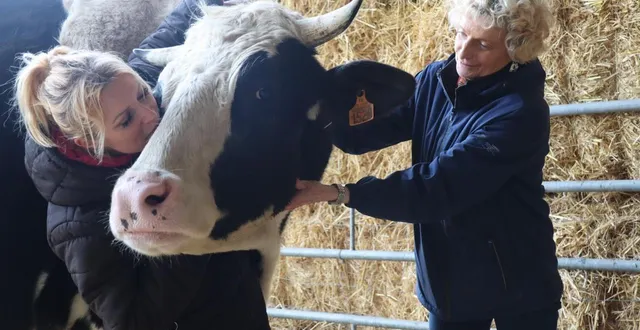 photo  stéphanie lisicki en train d’embrasser petit bouchon.  &copy;  archives ouest-france 